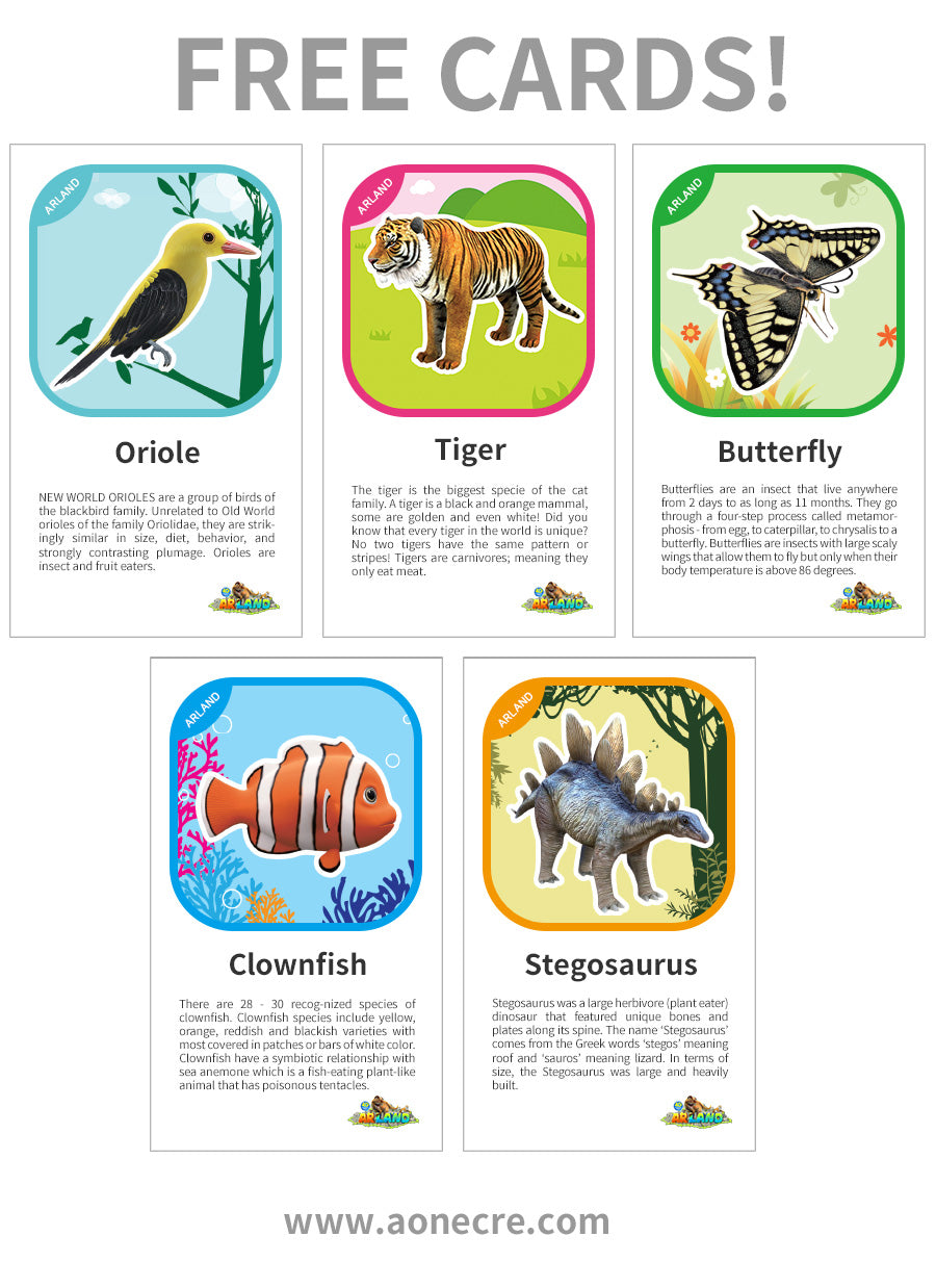 AR LAND 4D動物百科全書 (大/小)